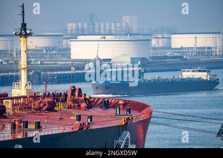 The crude oil tanker HOJO, in the seaport of Rotterdam, in the Petroleumhaven, Europoort, deck structures, pipelines, Rotterdam, Netherlands, Stock Photo