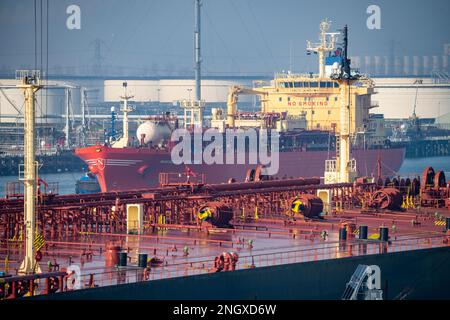 The crude oil tanker HOJO, in the seaport of Rotterdam, in the Petroleumhaven, Europoort, deck structures, pipelines, Rotterdam, Netherlands, Stock Photo