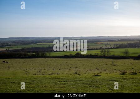 Views at Wittenham Clumps, Oxfordshire ,on February 19th 2023. Stock Photo