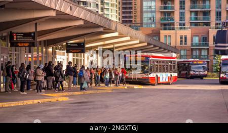 Toronto, Ontario, Canada - 10 03 2022: Passengers at Finch subway station bus terminal lined up in front of red NOVABUS bus owned by Toronto Transit Stock Photo