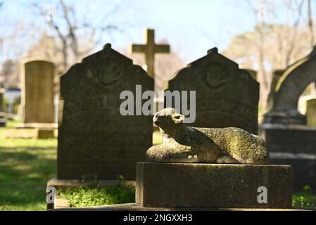 The historic cemetery behind the Holy Trinity Episcopal Church, founded in 1848,  in rural Hertford, North Carolina. Stock Photo