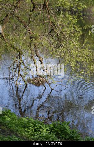 Copenhagen/Denmark 30 April 2018  View of Kastellet dansih caital . .       (Photo.Francis Joseph Dean / Deanpictures. Stock Photo