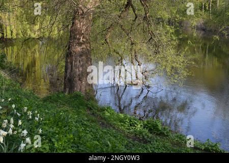 Copenhagen/Denmark 30 April 2018  View of Kastellet dansih caital . .       (Photo.Francis Joseph Dean / Deanpictures. Stock Photo