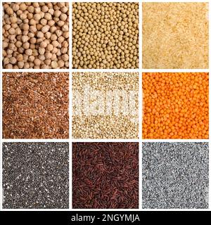 Collage with photos of different legumes and seeds. Vegan diet Stock Photo
