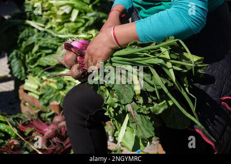 Unrecognizable person arranging a bundle of fresh agroecological organic beets and green onions from a sustainable and healthy farming system, outdoor Stock Photo