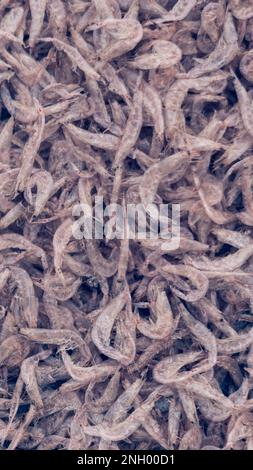 Plenty of dry shrimp background market for sell. Close-up pile texture detail bright light pink pale tone. Vertical format banner wallpaper cute Stock Photo