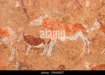 Bushmen rock painting of African antelopes, Brandberg mountain, Namibia Stock Photo