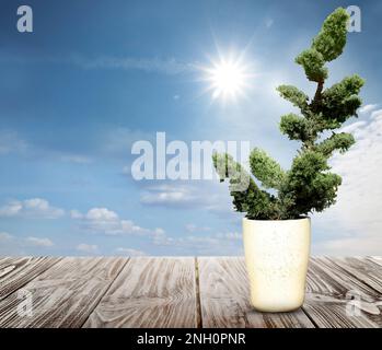 Beautiful bonsai tree in pot on wooden table against blue sky, space for text Stock Photo