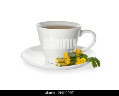 Cup of aromatic celandine tea and flowers on white background Stock Photo