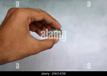 Closeup image of hand holding brain. Mental disorder, psychology, research concept Stock Photo