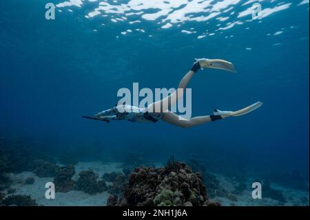 Freediver in the clear waters of the Andaman Sea in Thailand Stock Photo