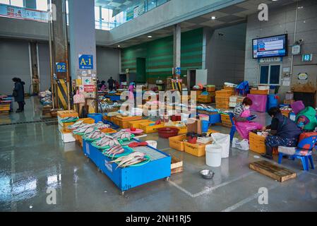 Jagalchi Fish Market the largest seafood market in Busan South Korea on 15 February 2023 Stock Photo