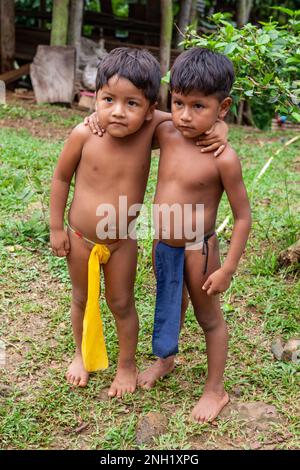 Two young indigenous Embera boys in traditional loin cloths playing together in their village in Panama. Stock Photo