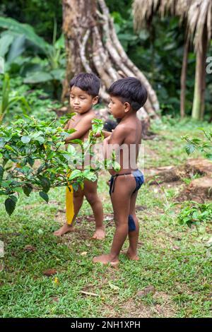 Two young indigenous Embera boys in traditional loin cloths playing together in their village in Panama. Stock Photo