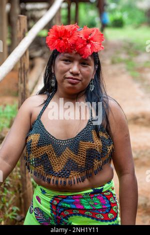 An indigenous Embera woman dressed up for visitors in her village on Lake Alejuela in Panama.  The women's tops are beaded and often decorated with si Stock Photo