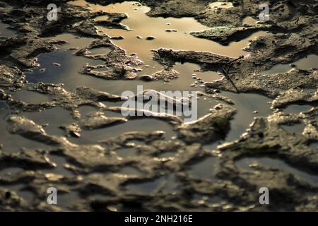 Holes and puddles on the dirty sandy road. Dirt with sunlight reflects in water. Stock Photo