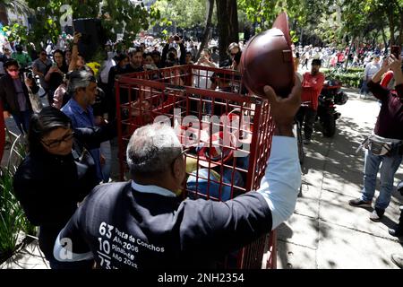 Non Exclusive: February 19, 2023, Mexico City, Mexico: 21 helmets of the miners who died in the Pasta de Conchos Mine tragedy were placed on the anti- Stock Photo