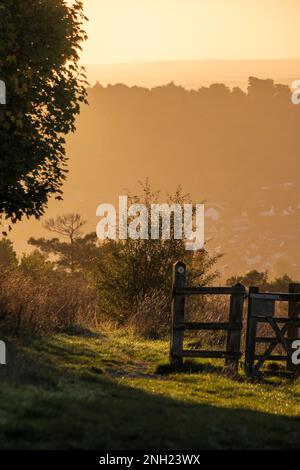 Farm Stye Gate in the Surrey Hills near Dorking England. Taken at dawn Stock Photo