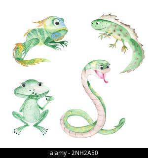 Reptile and amphibians set. Cute frog, snake, iguana and newt isolated on white background. Watercolor hand drawn illustration. Stock Photo