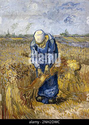Vincent van Gogh - Peasant woman binding sheaves (after Millet) - Google Art Project Stock Photo