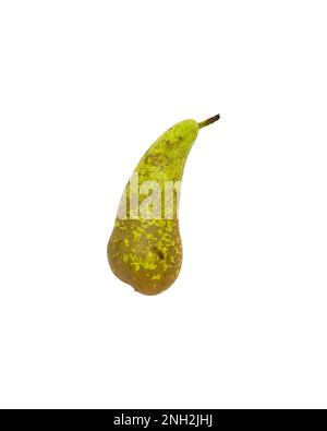 One green pear, isolated on white background Stock Photo