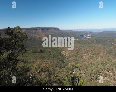View down from battleship spur over the Carnarvon Gorge Stock Photo