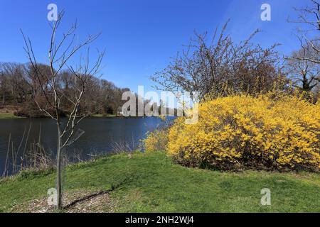 Frank Melville Memorial Park Setauket Long Island New York Stock Photo