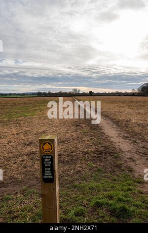 Public footpath across a farmers field with dogs warning and request to keep to the path sign in Cheshire UK Stock Photo