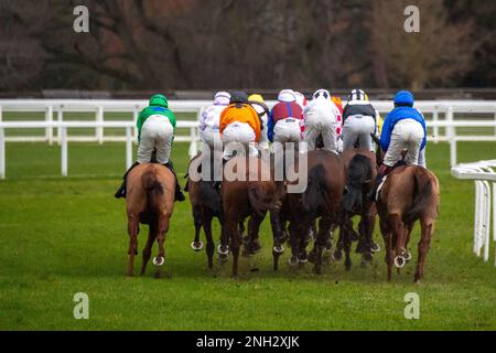 Ascot, Berkshire, UK. 20th February, 2023. The British European ...