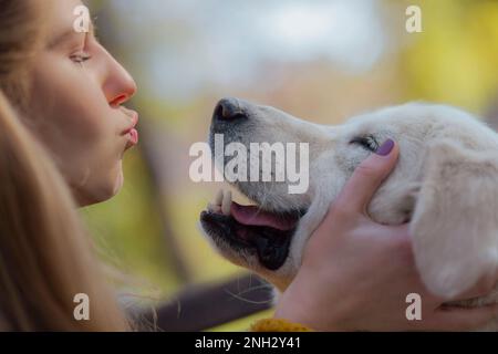 Beautiful young woman playing with golden retriever outdoors. Cute hipster girl hugs and kissed her dog. Stock Photo