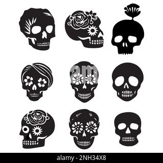Set of macabre botanical skulls vector motif. Illustration of anatomy skeleton graphic with floral frame.  Stock Vector