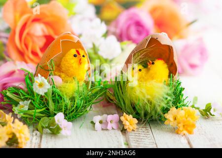 Easter decoration with chicks,eggs and flowers Stock Photo