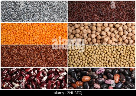 Collage with photos of different legumes and seeds. Vegan diet Stock Photo