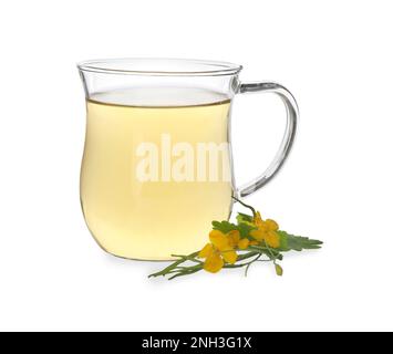 Glass cup of aromatic celandine tea and flowers on white background Stock Photo