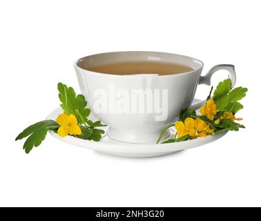 Cup of aromatic celandine tea and flowers on white background Stock Photo