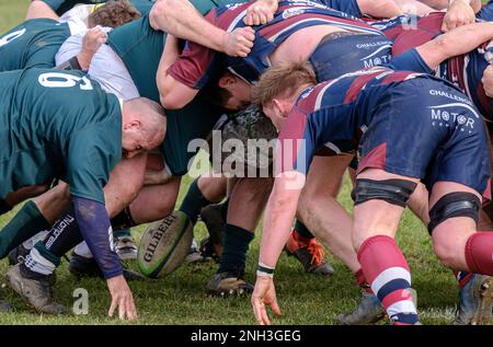 Old Patesians RFC vs Widden Old Boys RFC Rugby Union match Stock Photo