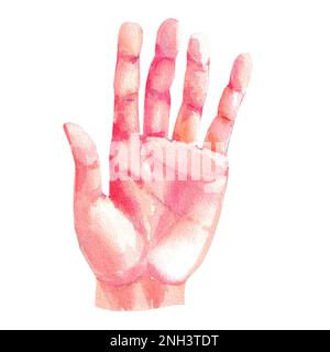 Watercolor hand man on white background for product design Stock Photo