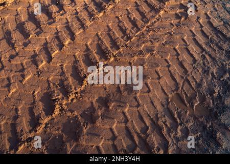 Tire tracks from wheel loader in the sand Stock Photo
