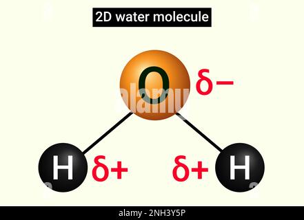 2D water molecule structure with charges Stock Vector