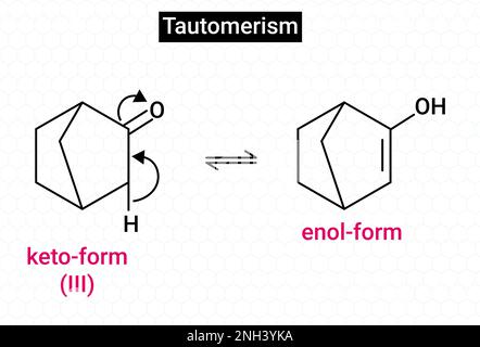alpha hydrogen at bridge carbon never participate in tautomerism Stock Vector