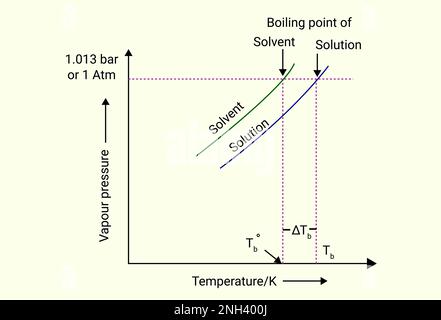 Boiling point of solvent and solution Stock Vector