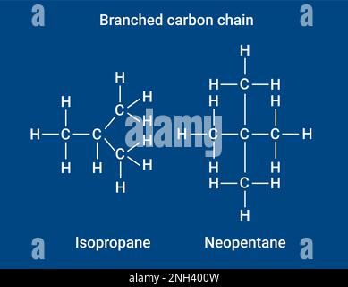 Chemical structure of Branched carbon chain Stock Vector