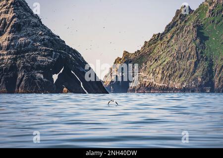 Skellig archipelago - Great and Little Skellig Islands in calm, peaceful weather. Atlantic, West Ireland. Stock Photo