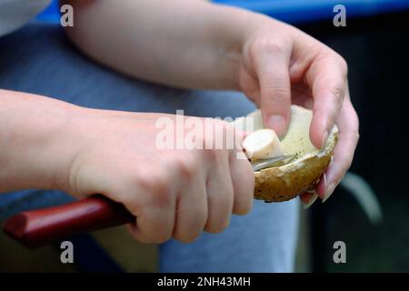 The girl is cleaning mushrooms. Close up view of hands, knife and mushroom Stock Photo