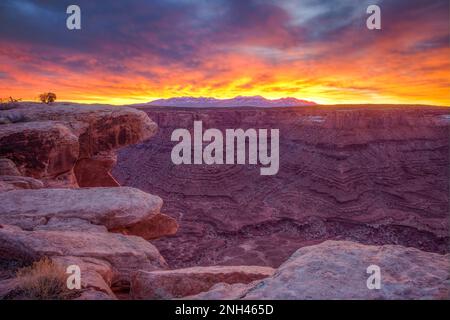 Colorful predawn clouds over the La Sal Mountains as viewed from Marlboro Point, near Moab, Utah. Stock Photo