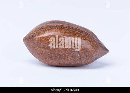 One whole Pecan nut on a white background Stock Photo