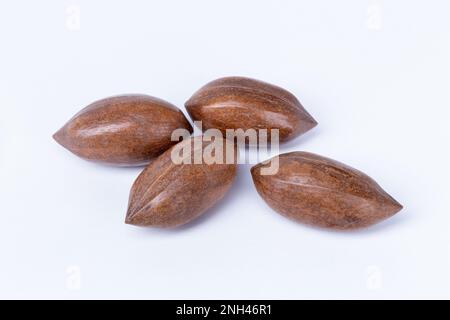 Four whole Pecan nuts on a white background Stock Photo