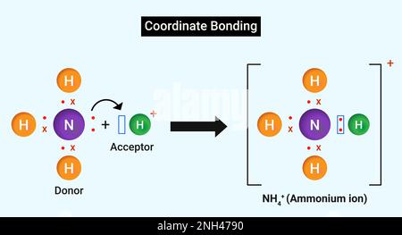 Coordinate Bonding: Octet of one atom should be complete and should have at least one lone pair of electron. Stock Vector