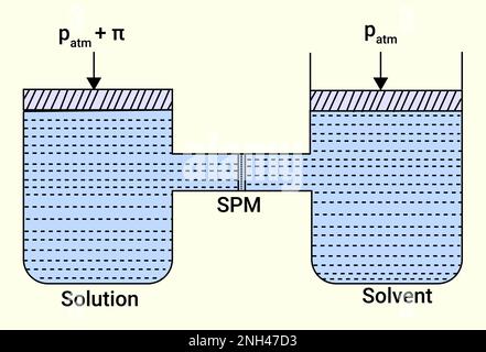 Chemical process of Solution and Solvent (SPM) Stock Vector