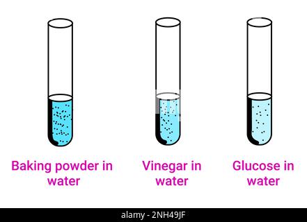 Chemical reaction of phenolphthalein solution (Baking soda, Vinegar and Glucose) Stock Vector